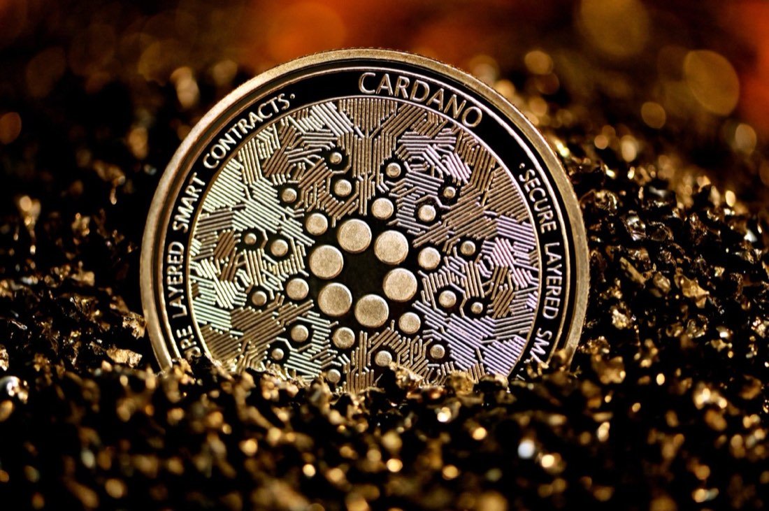 Picture from the source